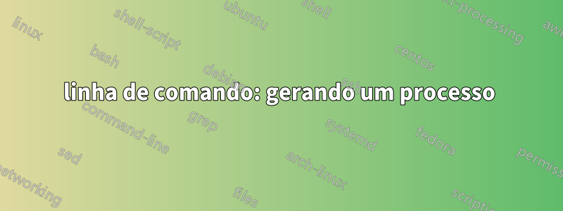 linha de comando: gerando um processo