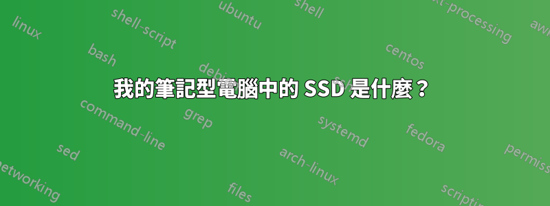 我的筆記型電腦中的 SSD 是什麼？