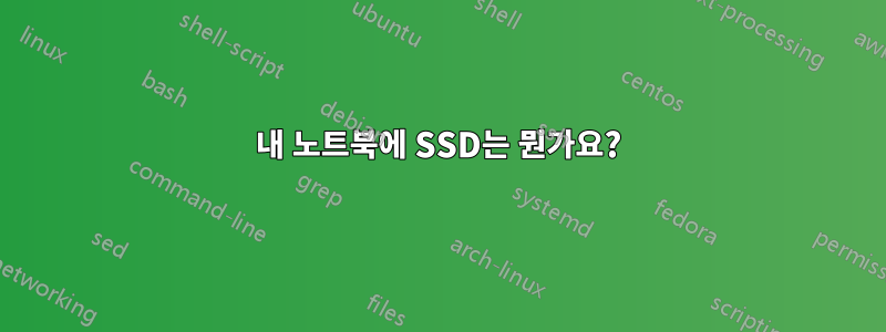 내 노트북에 SSD는 뭔가요?