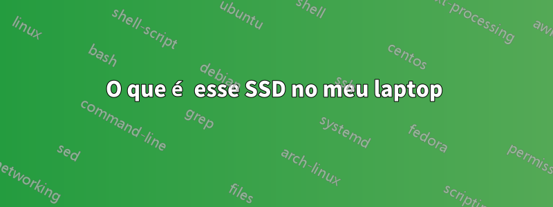 O que é esse SSD no meu laptop
