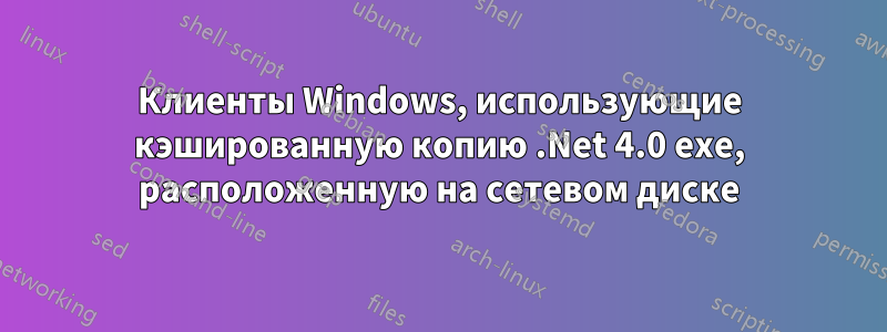 Клиенты Windows, использующие кэшированную копию .Net 4.0 exe, расположенную на сетевом диске