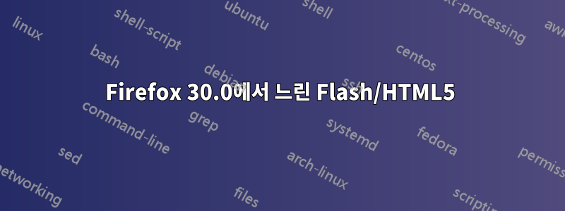 Firefox 30.0에서 느린 Flash/HTML5