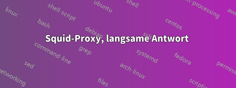 Squid-Proxy, langsame Antwort