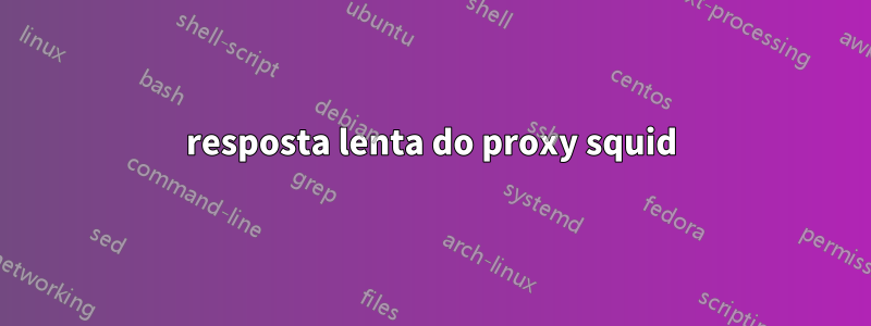 resposta lenta do proxy squid