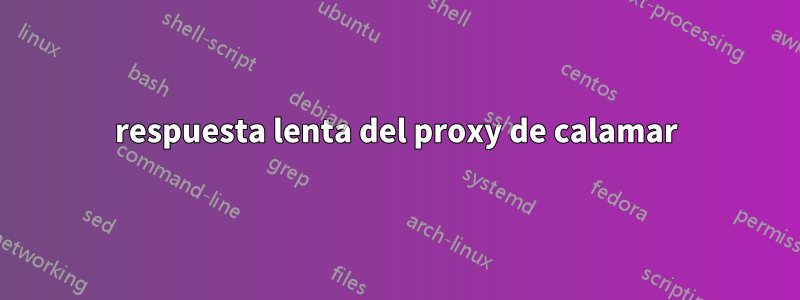 respuesta lenta del proxy de calamar