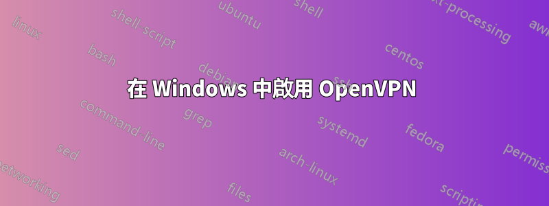 在 Windows 中啟用 OpenVPN