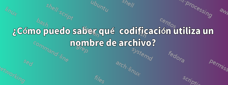 ¿Cómo puedo saber qué codificación utiliza un nombre de archivo?