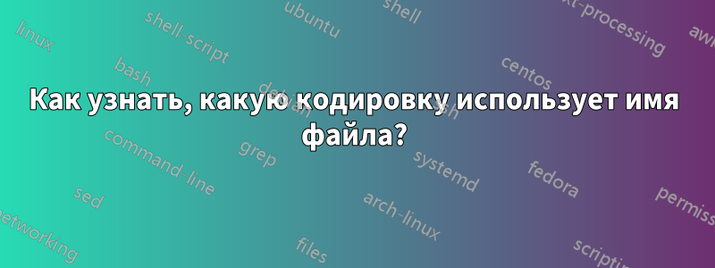 Как узнать, какую кодировку использует имя файла?