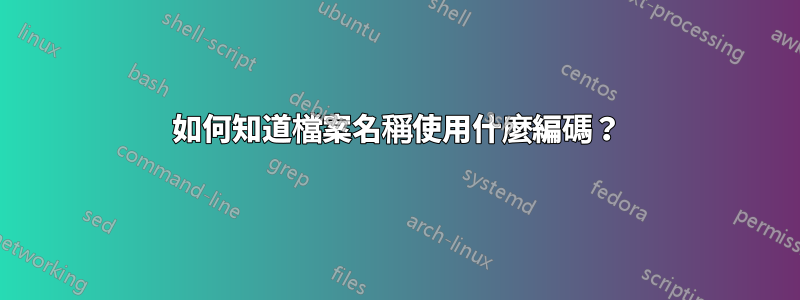 如何知道檔案名稱使用什麼編碼？