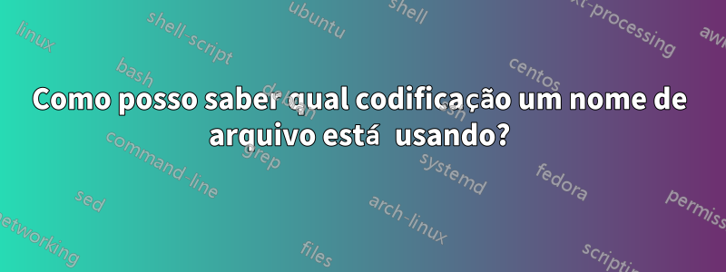 Como posso saber qual codificação um nome de arquivo está usando?