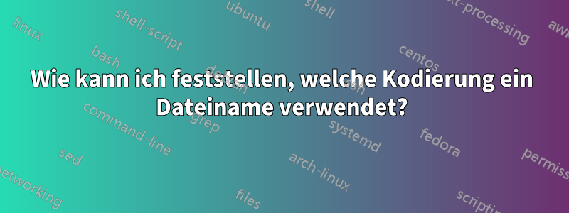 Wie kann ich feststellen, welche Kodierung ein Dateiname verwendet?