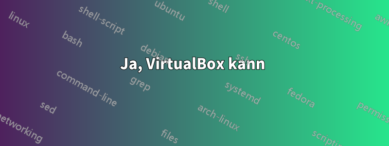 Ja, VirtualBox kann