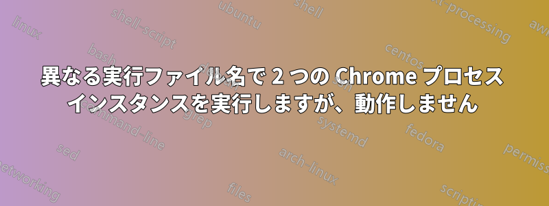 異なる実行ファイル名で 2 つの Chrome プロセス インスタンスを実行しますが、動作しません