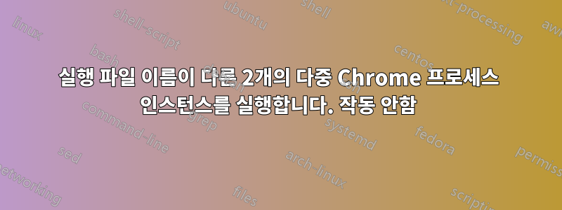 실행 파일 이름이 다른 2개의 다중 Chrome 프로세스 인스턴스를 실행합니다. 작동 안함