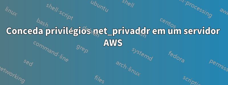 Conceda privilégios net_privaddr em um servidor AWS