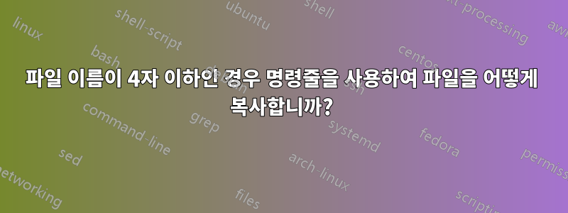 파일 이름이 4자 이하인 경우 명령줄을 사용하여 파일을 어떻게 복사합니까?