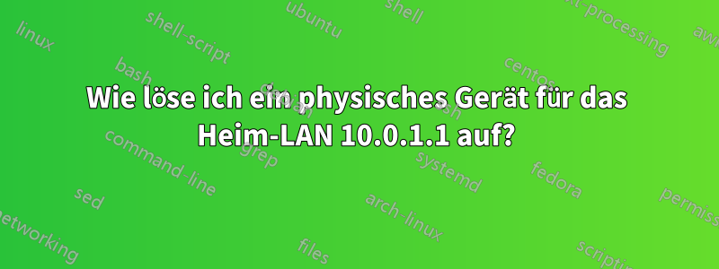 Wie löse ich ein physisches Gerät für das Heim-LAN 10.0.1.1 auf?