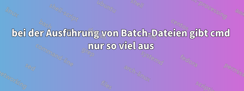 bei der Ausführung von Batch-Dateien gibt cmd nur so viel aus