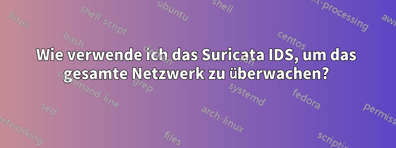 Wie verwende ich das Suricata IDS, um das gesamte Netzwerk zu überwachen?