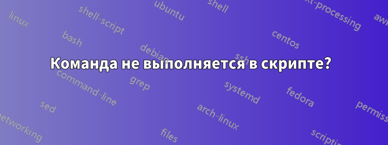 Команда не выполняется в скрипте? 