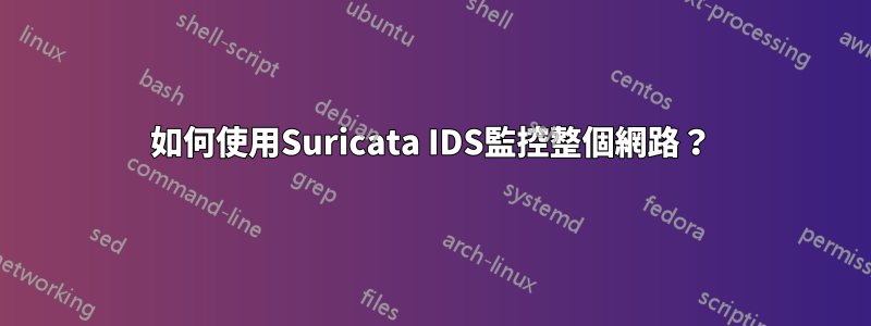 如何使用Suricata IDS監控整個網路？