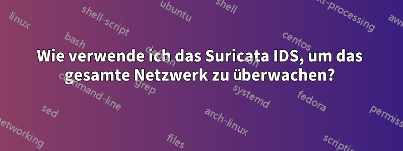 Wie verwende ich das Suricata IDS, um das gesamte Netzwerk zu überwachen?