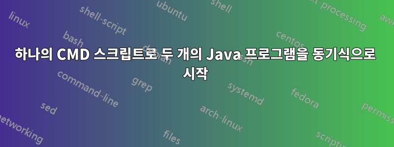 하나의 CMD 스크립트로 두 개의 Java 프로그램을 동기식으로 시작