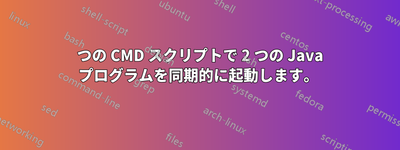 1 つの CMD スクリプトで 2 つの Java プログラムを同期的に起動します。