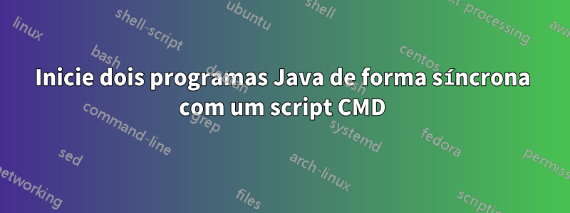 Inicie dois programas Java de forma síncrona com um script CMD