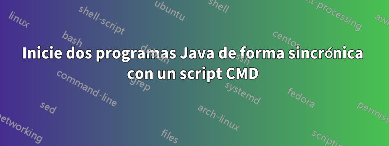 Inicie dos programas Java de forma sincrónica con un script CMD