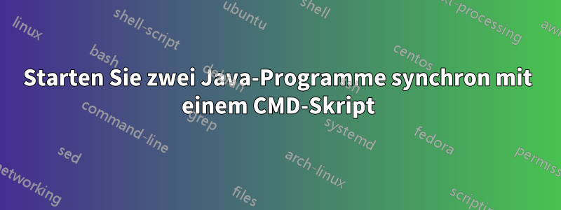 Starten Sie zwei Java-Programme synchron mit einem CMD-Skript