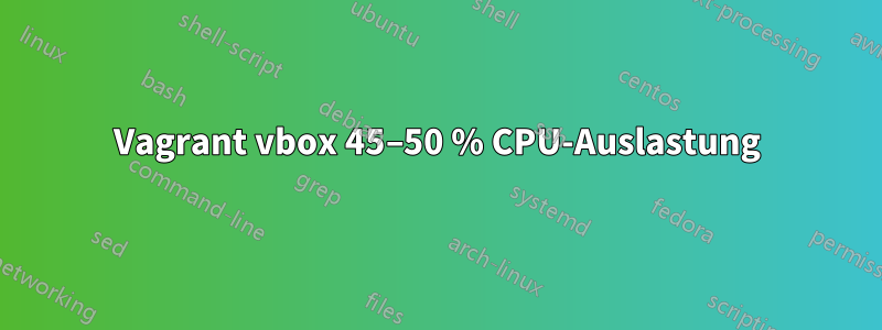 Vagrant vbox 45–50 % CPU-Auslastung