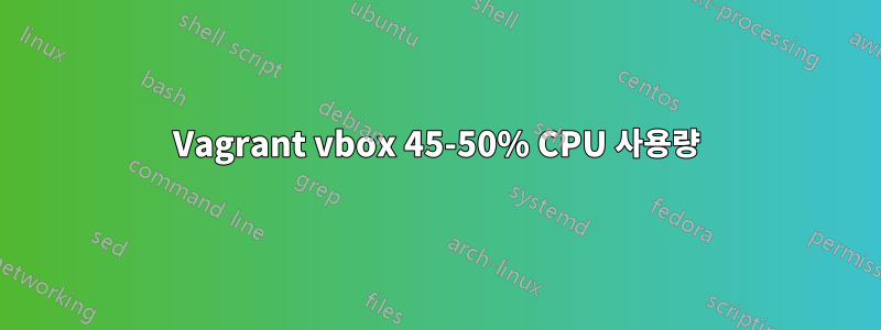 Vagrant vbox 45-50% CPU 사용량