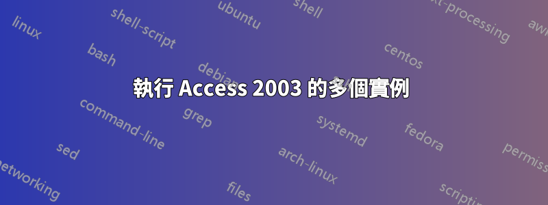 執行 Access 2003 的多個實例