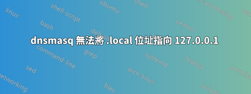 dnsmasq 無法將 .local 位址指向 127.0.0.1