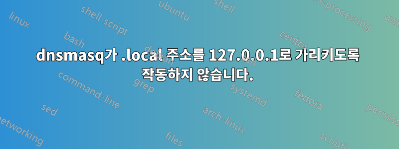 dnsmasq가 .local 주소를 127.0.0.1로 가리키도록 작동하지 않습니다.