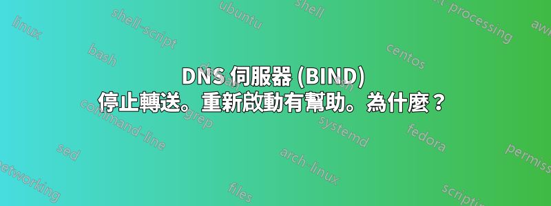 DNS 伺服器 (BIND) 停止轉送。重新啟動有幫助。為什麼？