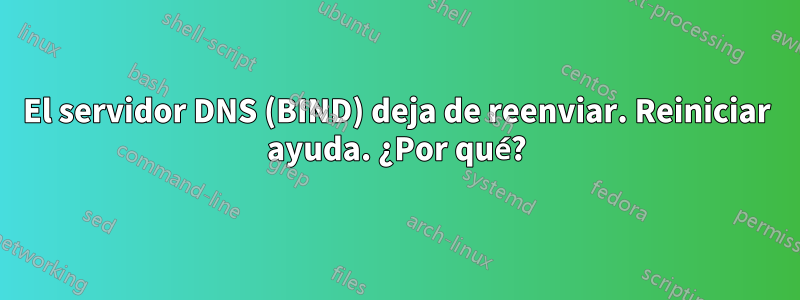 El servidor DNS (BIND) deja de reenviar. Reiniciar ayuda. ¿Por qué?