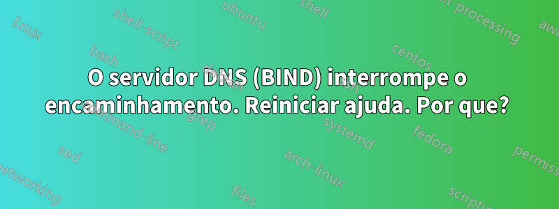 O servidor DNS (BIND) interrompe o encaminhamento. Reiniciar ajuda. Por que?