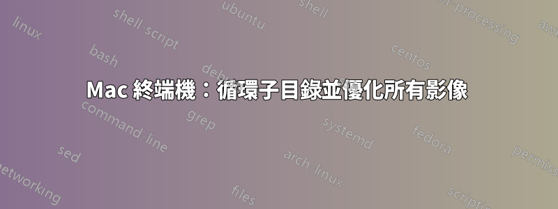 Mac 終端機：循環子目錄並優化所有影像