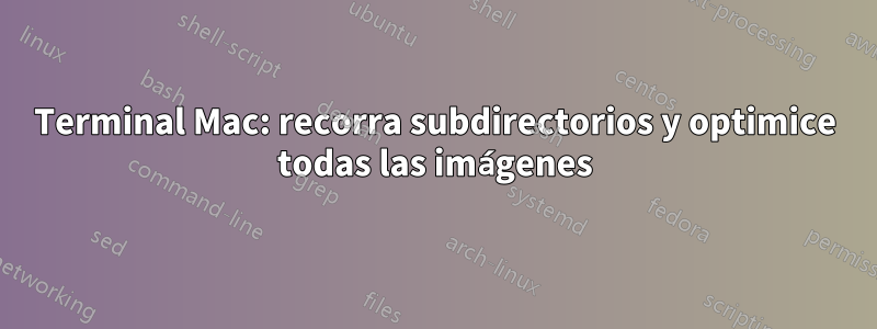 Terminal Mac: recorra subdirectorios y optimice todas las imágenes