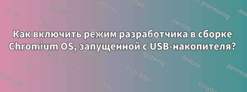 Как включить режим разработчика в сборке Chromium OS, запущенной с USB-накопителя?