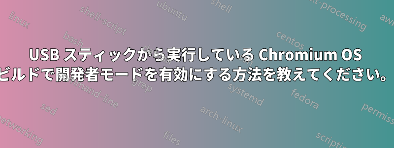 USB スティックから実行している Chromium OS ビルドで開発者モードを有効にする方法を教えてください。