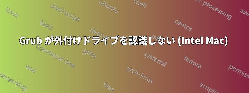 Grub が外付けドライブを認識しない (Intel Mac)