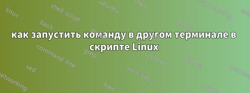 как запустить команду в другом терминале в скрипте Linux