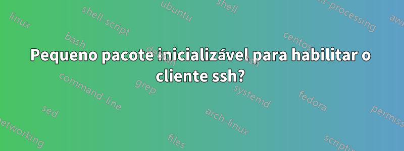 Pequeno pacote inicializável para habilitar o cliente ssh?