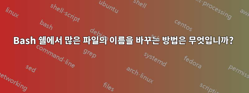 Bash 쉘에서 많은 파일의 이름을 바꾸는 방법은 무엇입니까?