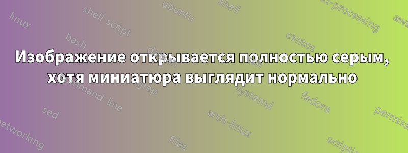 Изображение открывается полностью серым, хотя миниатюра выглядит нормально