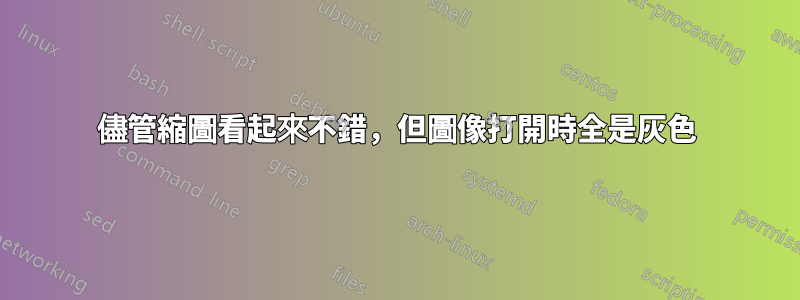 儘管縮圖看起來不錯，但圖像打開時全是灰色