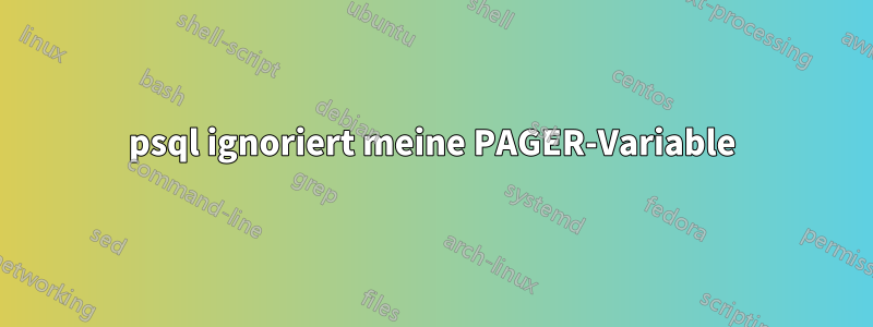 psql ignoriert meine PAGER-Variable